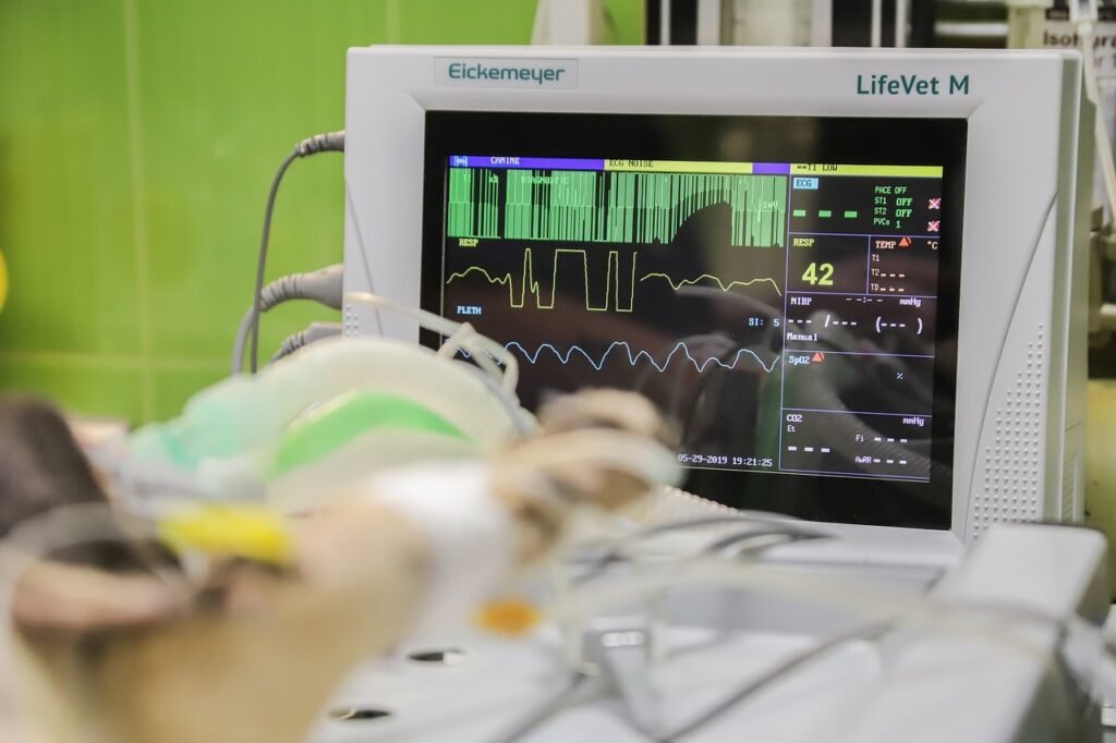 7 Sinais de Emergência Veterinária: Quando Correr para o Hospital em 2026? monitoring, life monitor, nature, ekg, healthcare, heart, pulse, computer, technology, cardio, heartbeat, vet, veterinary, clinic, surgery, dog, cat, animal, operation, pet, treatment, veterinarian, procedure
